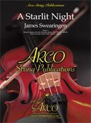 A Starlit Night